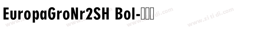 EuropaGroNr2SH Bol字体转换